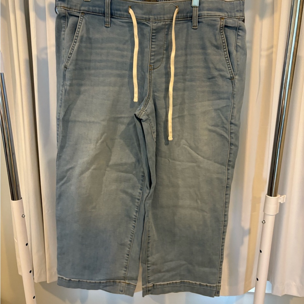 Torrid Casual Light Blue Drawstring Pants